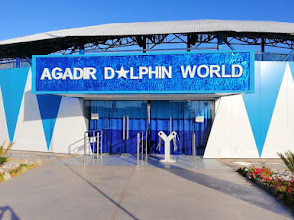 Agadir Dolphin World – Spectacles, Dauphins et Loisirs | Afribaba.ma
