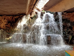 Vallée des Oiseaux Agadir – Faune, Nature et Loisirs | Afribaba.ma