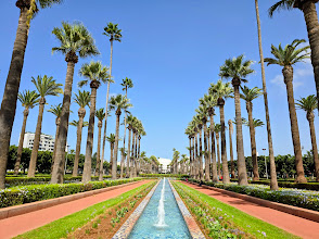Parc de la Ligue Arabe Casablanca | Nature & Visitor Guide on afribaba.ma