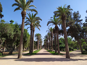 Parc Murdoch (ISESCO) – Cultural Green Space in Rabat | afribaba.ma